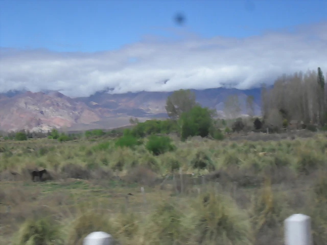 SDC11528 SDC11528