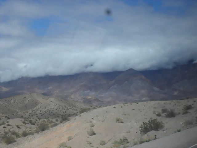 SDC11537 SDC11537