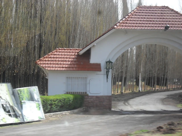 SDC11529 SDC11529