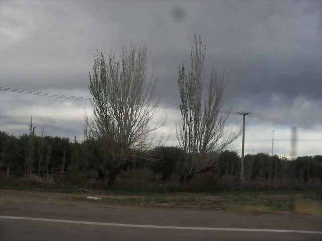 SDC11721