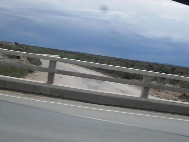 SDC11739 SDC11739