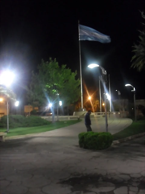 SDC11800 SDC11800