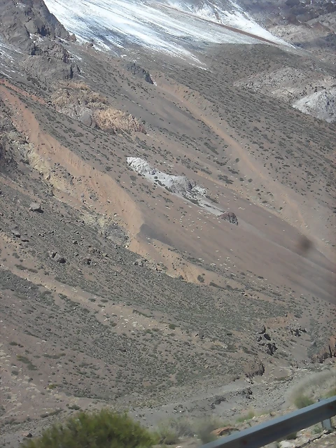 SDC11605 SDC11605
