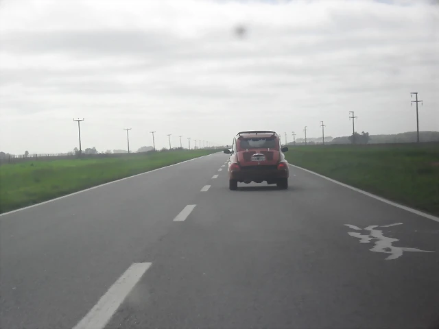 SDC11817 SDC11817