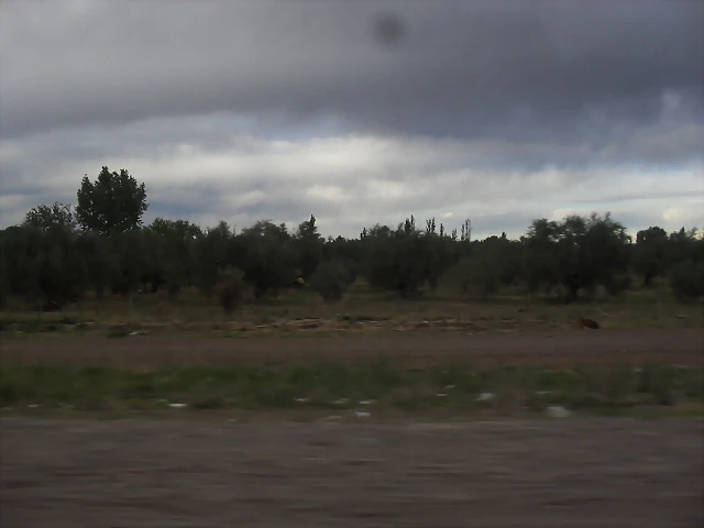 SDC11722