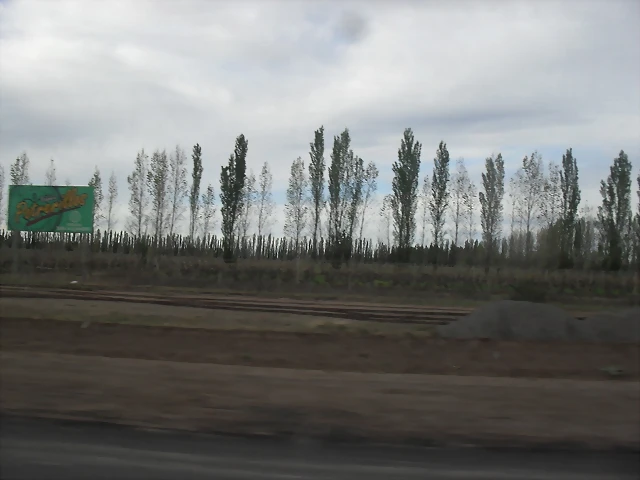 SDC11731