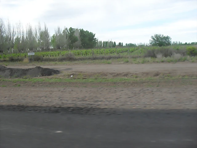 SDC11732