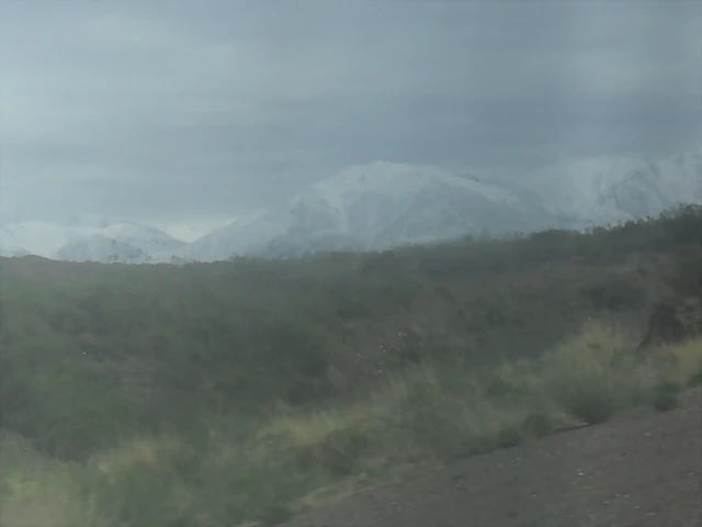 SDC11449 SDC11449