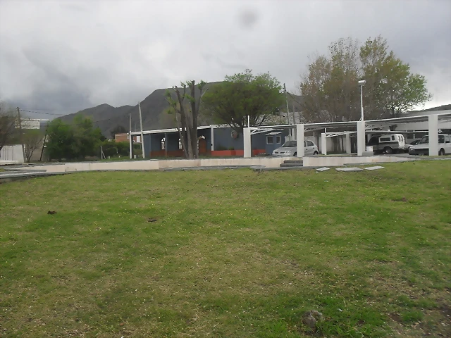 SDC11768 SDC11768