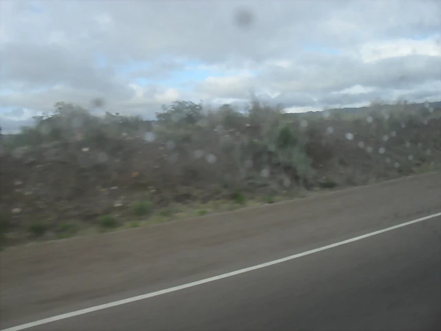 SDC11440 SDC11440