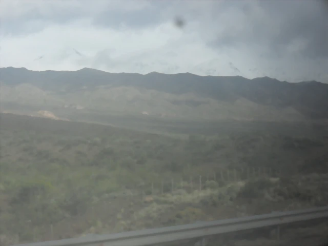 SDC11451 SDC11451