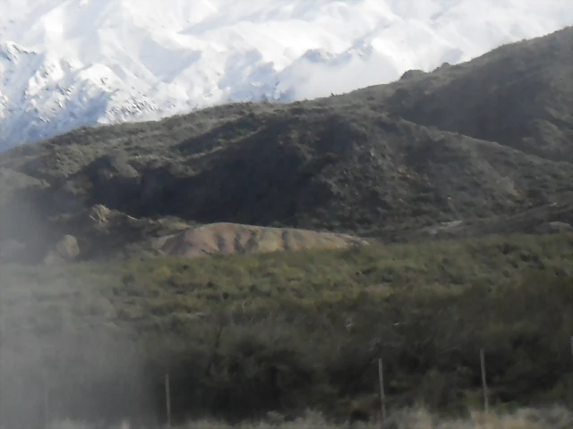 SDC11452 SDC11452
