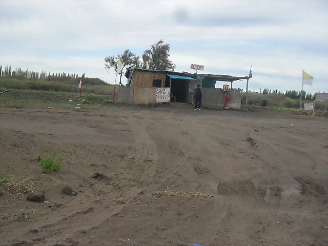 SDC11733