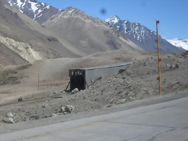 SDC11681 SDC11681
