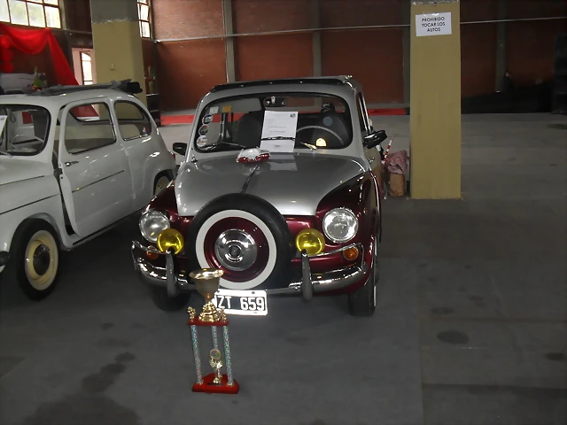 SDC11365 SDC11365