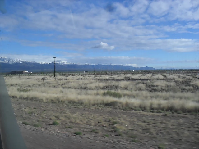 SDC11426 SDC11426