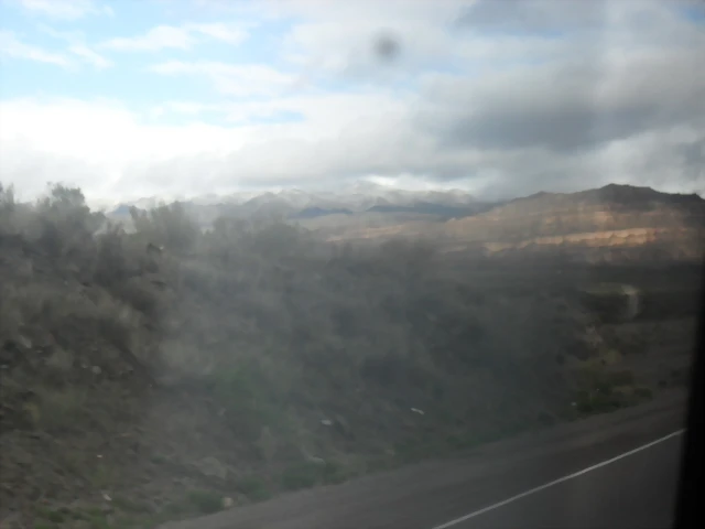 SDC11445 SDC11445
