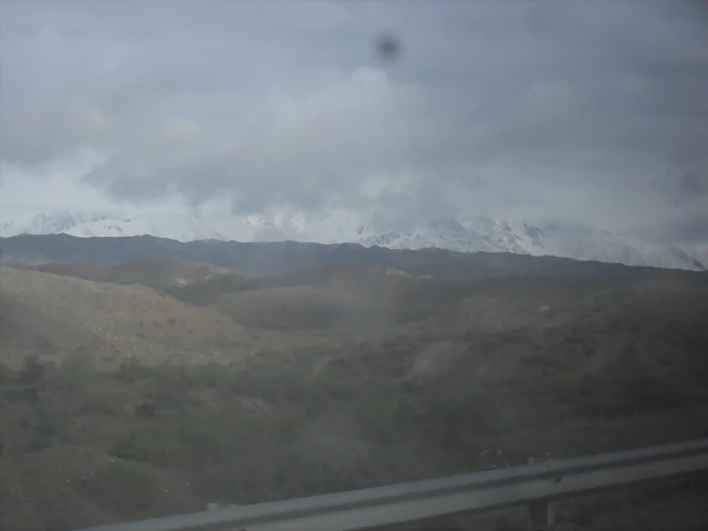 SDC11448 SDC11448