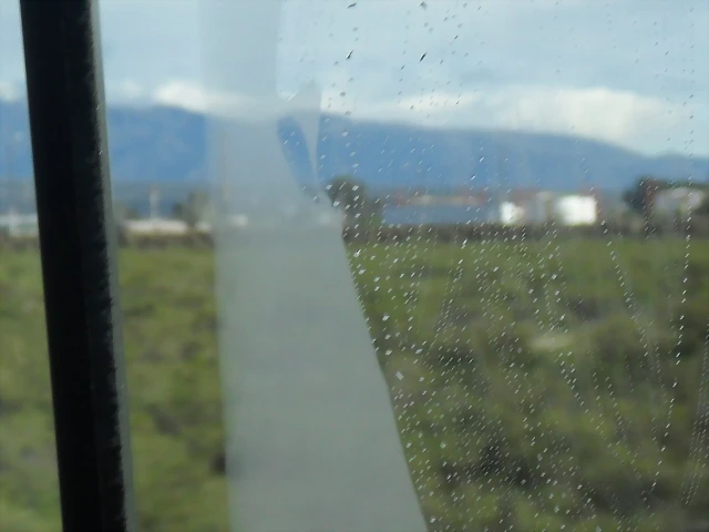 SDC11428 SDC11428