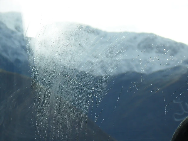 SDC11455 SDC11455