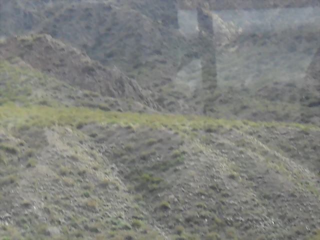 SDC11492 SDC11492