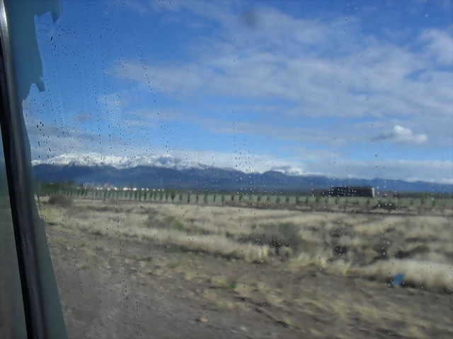 SDC11427 SDC11427