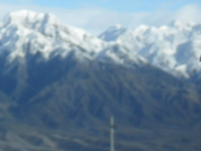 SDC11431 SDC11431