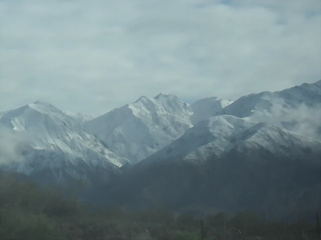 SDC11454 SDC11454