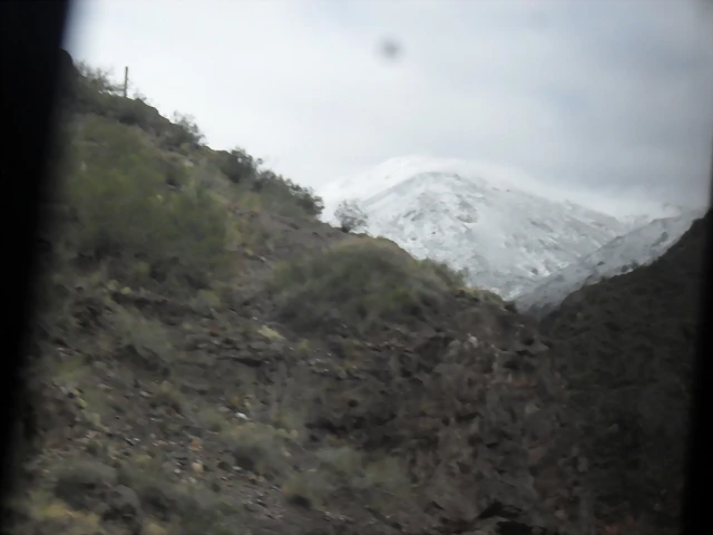 SDC11495 SDC11495