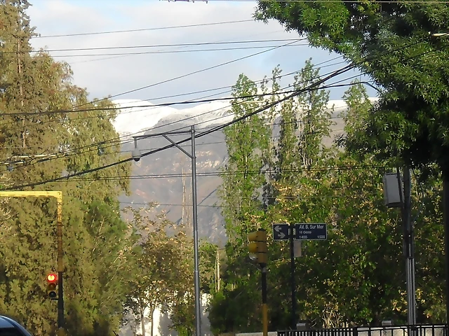 SDC11411 SDC11411