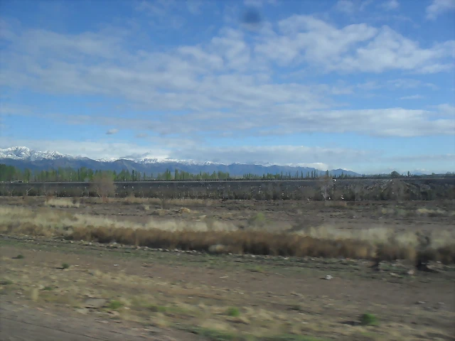SDC11425 SDC11425