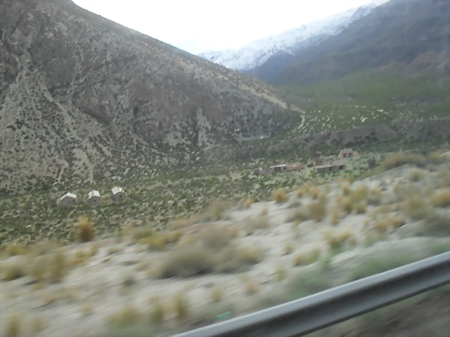 SDC11504 SDC11504