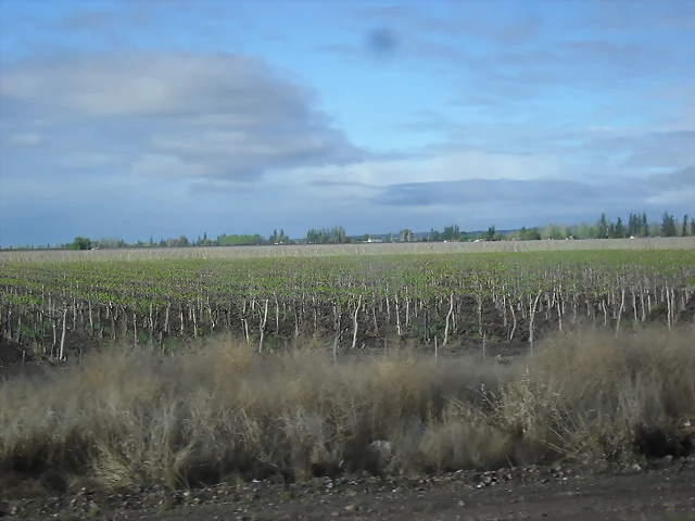 SDC11423 SDC11423