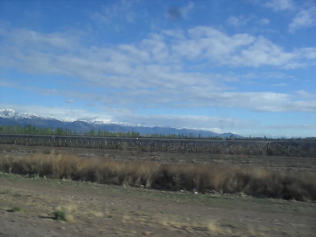SDC11424 SDC11424