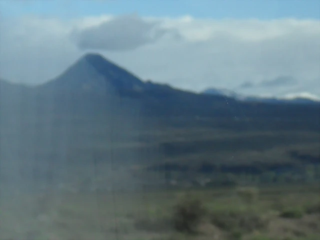 SDC11432 SDC11432