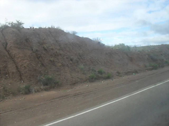 SDC11437 SDC11437