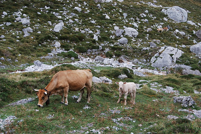 DSC_0148 DSC_0148