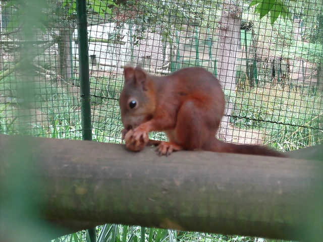 DSC01530 DSC01530