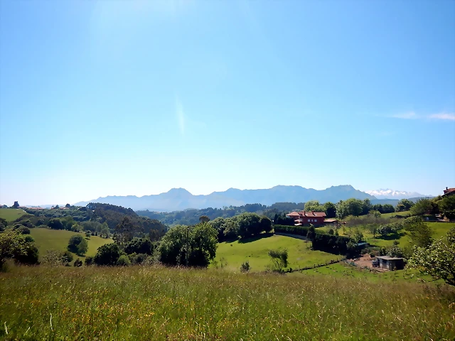 DSCN2984 DSCN2984