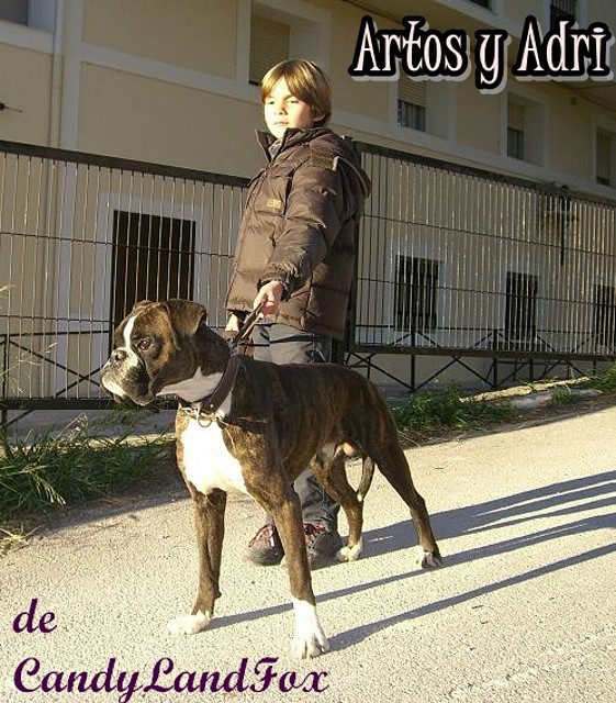 alu y adri