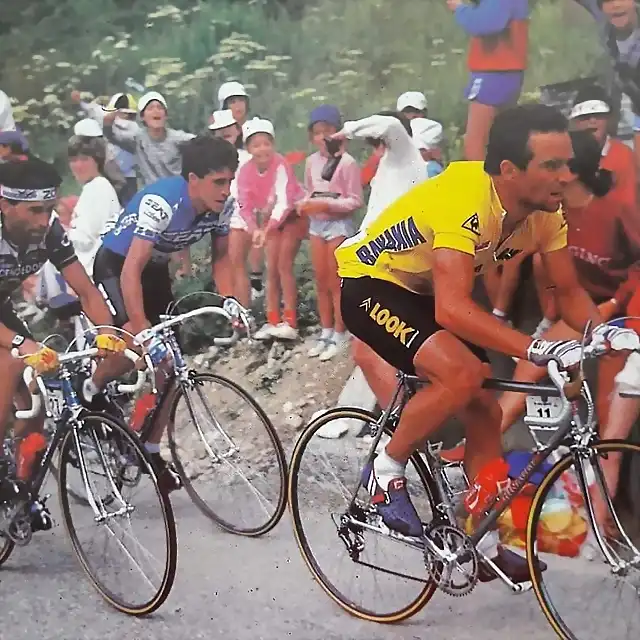 Perico-Tour1985-Hinault-Pino