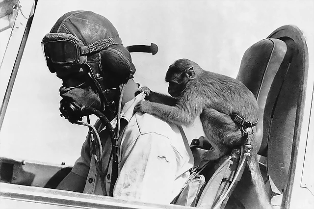 Piloto británico con su mascota en el Norte de Africa Piloto británico con su mascota en el Norte de Africa
