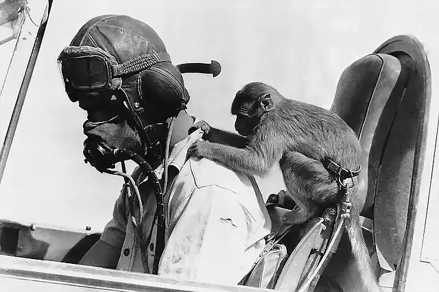 Piloto britnico con su mascota en el Norte de Africa