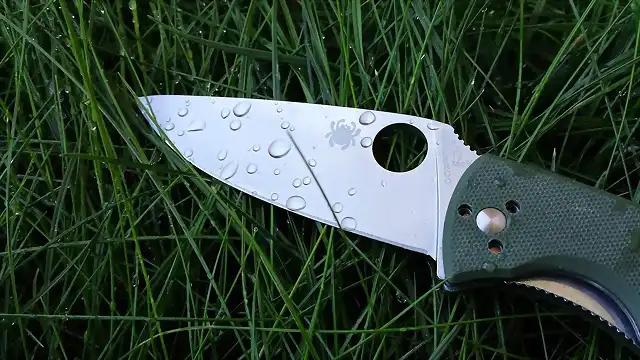 Spyderco Tenacious Green