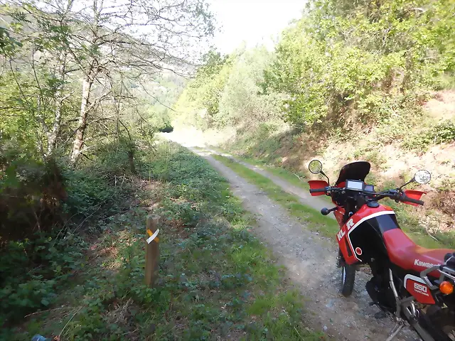 DSCN2084 DSCN2084