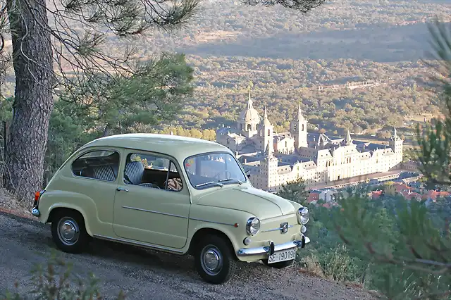 seat600amarillo2