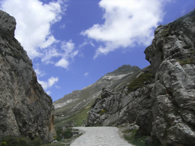 R0012891 R0012891