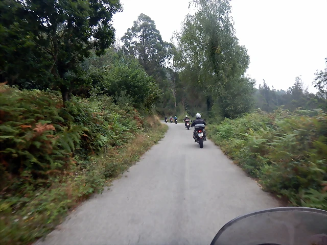 DSCN0484 DSCN0484