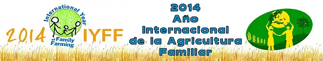 2014 aor internacional