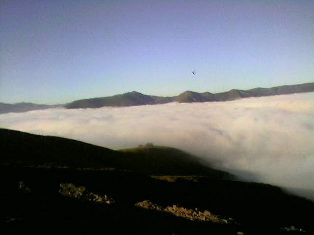 Niebla2